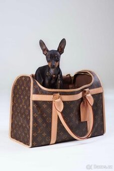 Louis Vuitton taška pro malého pejska – vintage originál