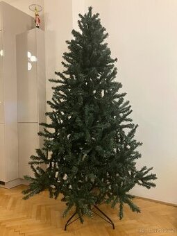 Nabízím k prodeji kvalitni vanocni stromek 210 cm.