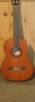 Kytara admirá Malaga 7/8