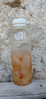 Čajová houba KOMBUCHA vč. matečného nálevu