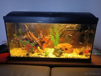 Prodám akvárium se vším všudy i se skříňkou a rybičkami