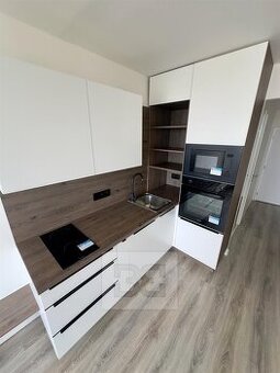 Pronájem bytu 1+kk - posilovna, party room, ev.č. N09231