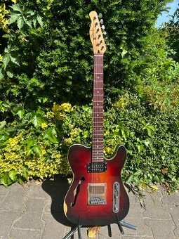 Fende Telecaster Thinline