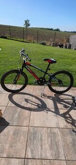 Dětské kolo Dino Bikes 20" Aurelia