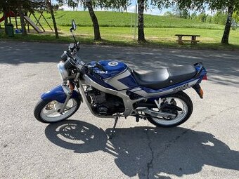 Suzuki GS500E