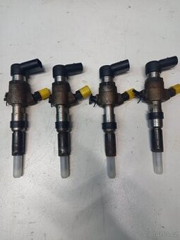 Ford Fiesta,Ford Fusion 1.4tdci vstriky,vstrikovace