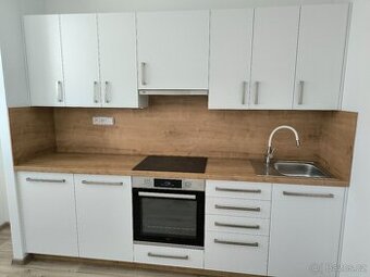Pronájem 1+1 Lipník nad Bečvou