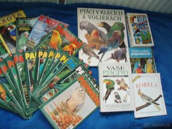 Papoušci, andulky, psi, ryby, akvárium