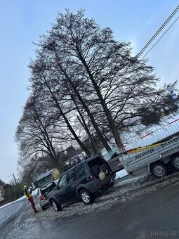 Arboristické služby – kácení, prořez, údržba stromů