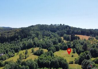 Prodej pozemku 3 027 m2 - Olešnice v Orlických horách