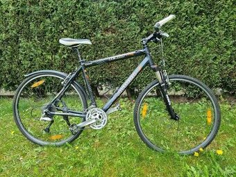Author Zenith vel.20"