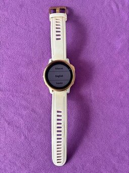 Garmin Fenix 6S Pro - 1