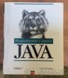 Programování v jazyce JAVA - David Flanagan - 1