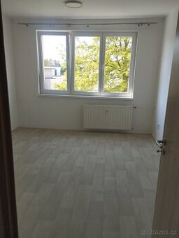 Pronajmu byt 2+1 ve Strakonicích