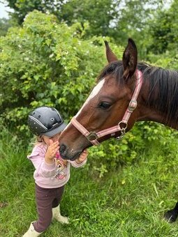 Roční hřebeček do pony sportu