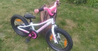Kolo specialized