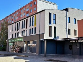 Pronájem bytové jednotky 1+kk 50m2