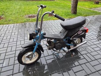 MOKIK Babetta - STELLA vzácná