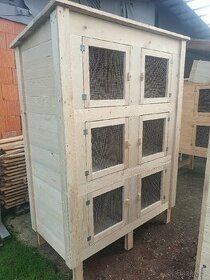 6 kotcova kralikarna