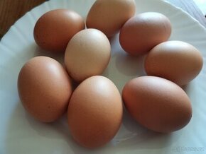 Domácí vejce
