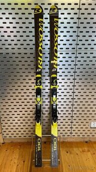 BLOSSOM WC GS OVERLIMIT PLUS 180 cm + HEAD FREE FLEX EVO14