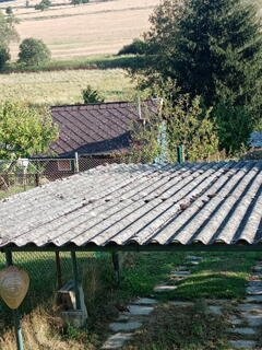 Desky na kůlnu za odvoz 9 ks - 1