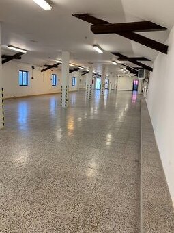 Pronájem výrobní haly 384 m²