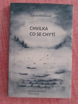 Chvilka, co se chytí.