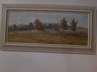 Jeřáby Vysočiny, Slávek Vařejčka 10.1.1935 Vítanov