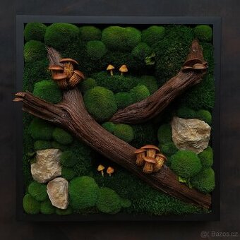 Mechový obraz / obraz ze stabilizovaného mechu