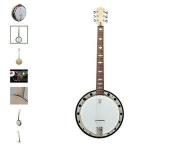 Koupím kytarové banjo Deering goodtime six