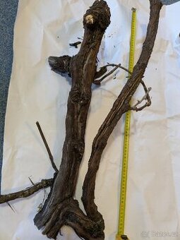 Terarijní nebo akvarijní dekorace