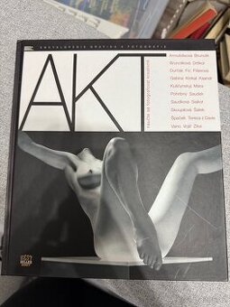 Akt - naučte se fotografovat kreativně - 1
