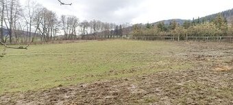 Oplocený pozemek 11.000m2 + maringotka, pro koně, atd.