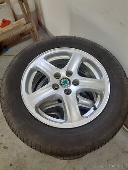 Octavia R15