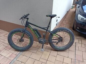 Fatbike Leader Fox