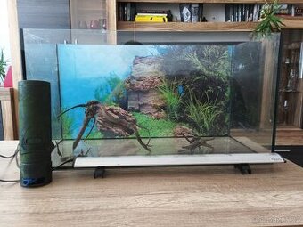 Akvarium