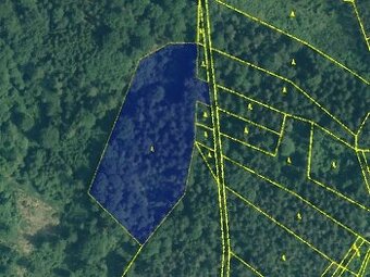 Lesní pozemek 10600 m2, Rabí - Čepice