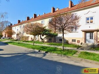 Hustopeče, byt OV 2+1, výhled do zeleně, krbová kamna, po re