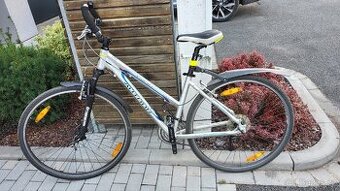 Dámské kolo Author enigma 17"