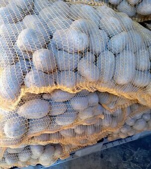 brambory konzumní - netříděné - krmné.