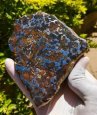 Meteorit SERICHO - řez (842 g)