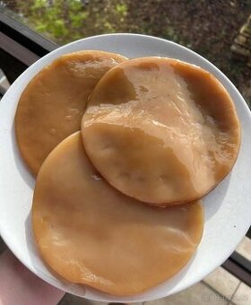 Scoby na výrobu domácí kombuchy