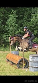 Sportovní pony B