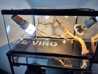 Terárium (ideální pro mláďata agamy vousaté)