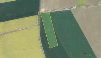 Zemědělská půda, prodej, Mořice, Prostějov