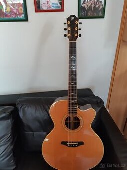 Prodám kytaru Furch Elite