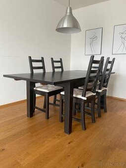Rozkládací jídelní stůl a židle IKEA (147/204x95)