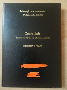 Rigorózní/ diplomová/ závěrečná práce na VŠ
