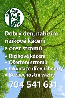 Rizikové kácení - 1